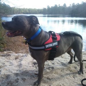 Meet your Posher, Brian v.